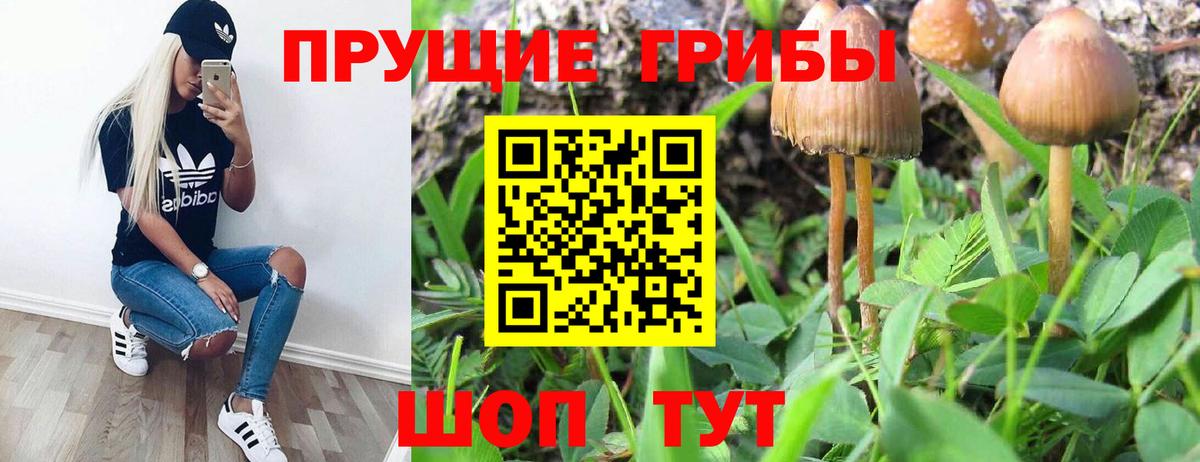 НБОМе  МЕФ  Гашиш  Марихуана  Вход с VPN  Меф МЯУ МЯУ   Рязань  Кодеин  A PVP СК  
